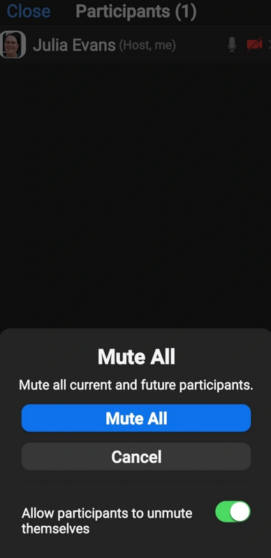 Zoom - Mute All Participants